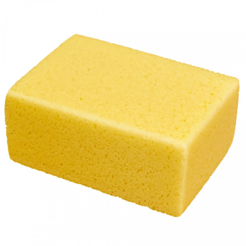 pp