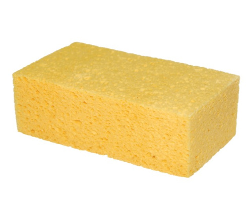 pp