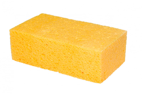 pp